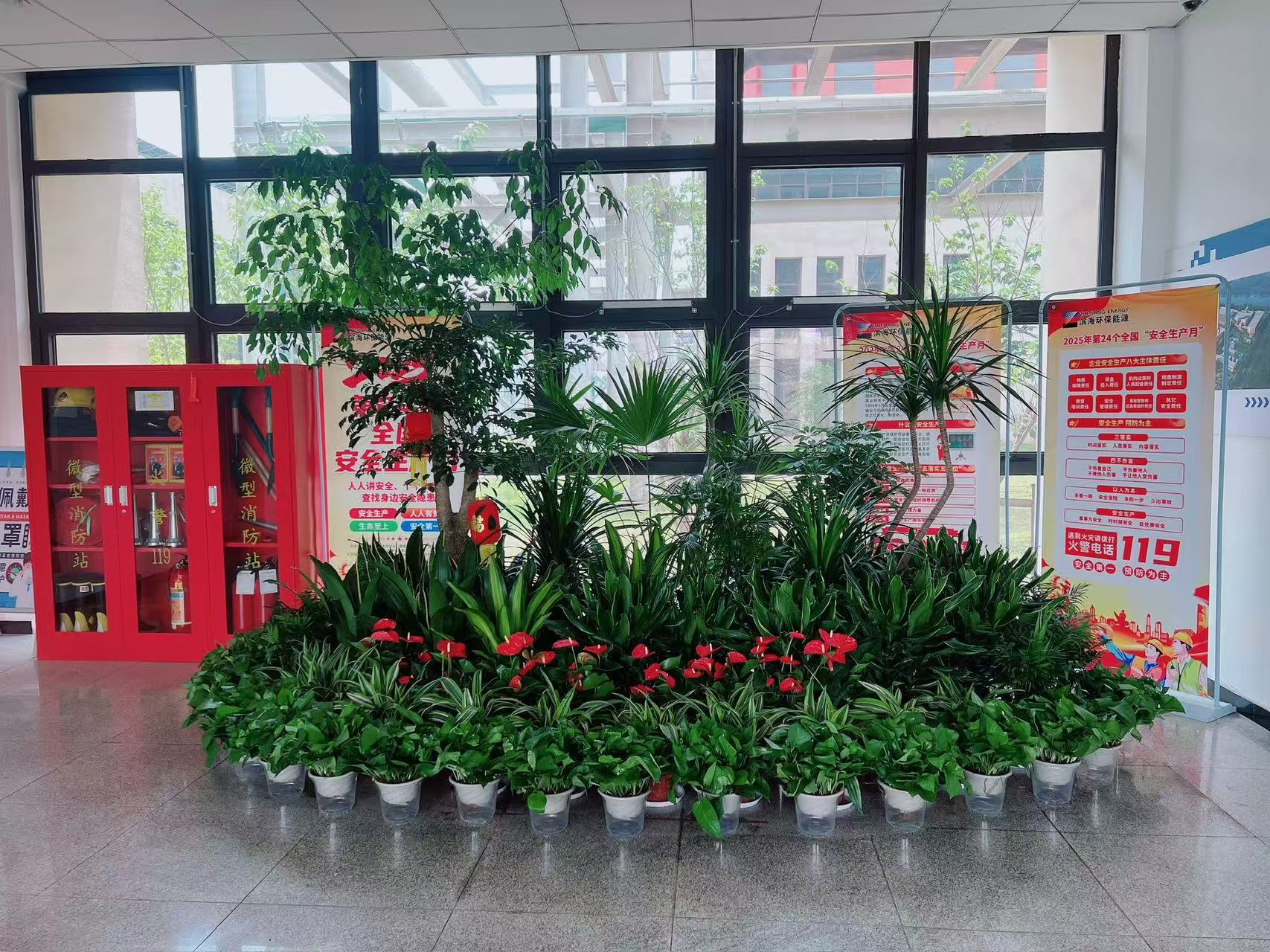 宁波鄞州植物租摆价格大揭秘，别错过！